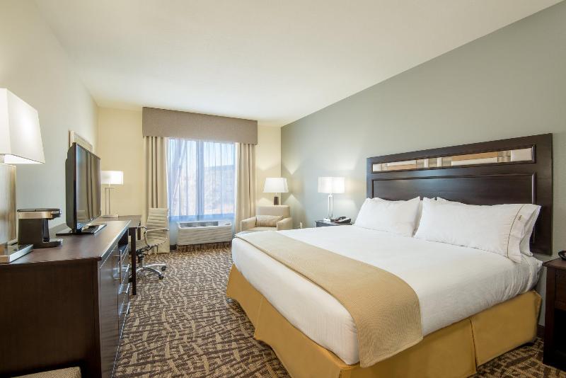 Стандартный Номер Кровать Кинг, Holiday Inn Express & Suites Denver South   Castle Rock, An Ihg