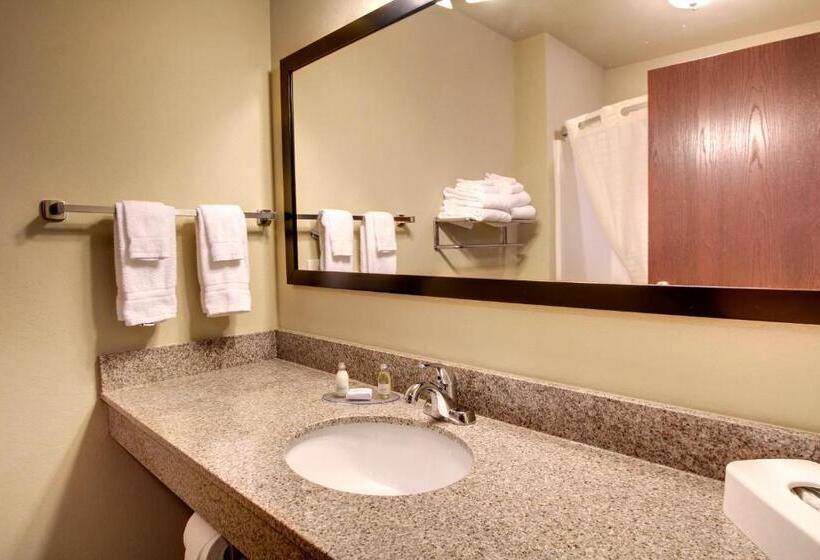 스탠다드 룸, Cobblestone Inn & Suites   Eads