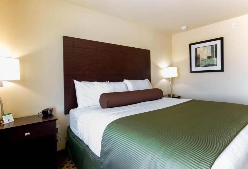 스탠다드 룸 킹사이즈 침대, Cobblestone Inn & Suites   Eads