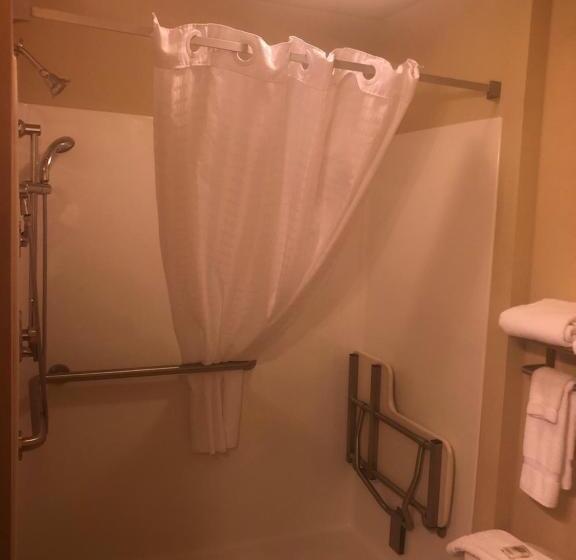 장애인을 위한 킹사이즈 침대 스탠다드 룸, Cobblestone Inn & Suites   Eads