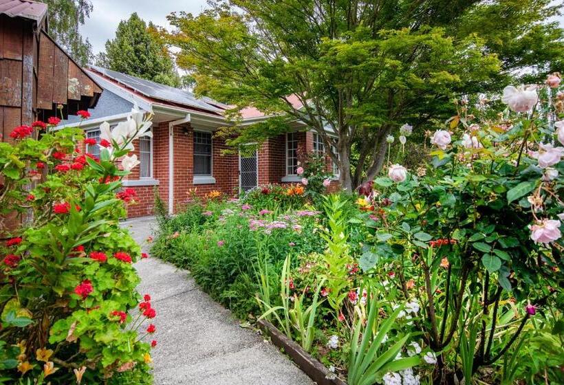 풀장 전망 스위트, Alexandria Bed And Breakfast