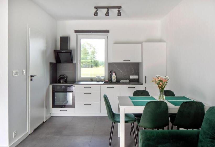 Номер Дюплекс, Apartamenty Zielona Lipka