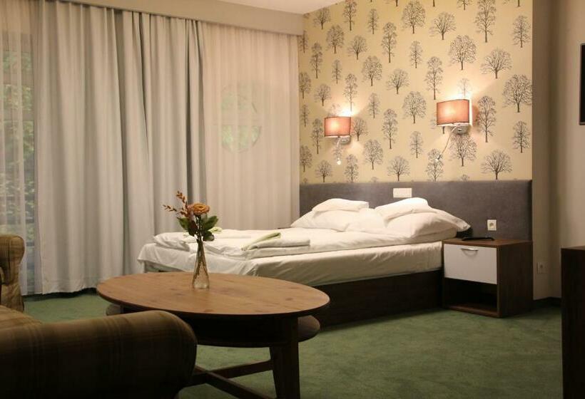 آپارتمان 1 خوابه, Hostel Leśny