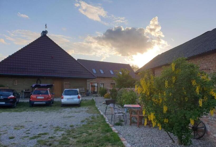 Семейное Студио, Dom Gościnny Ptaszarnia   Natura Free Parking