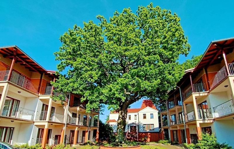 اتاق استاندارد با تراس, Rezydencja 5 Dębów
