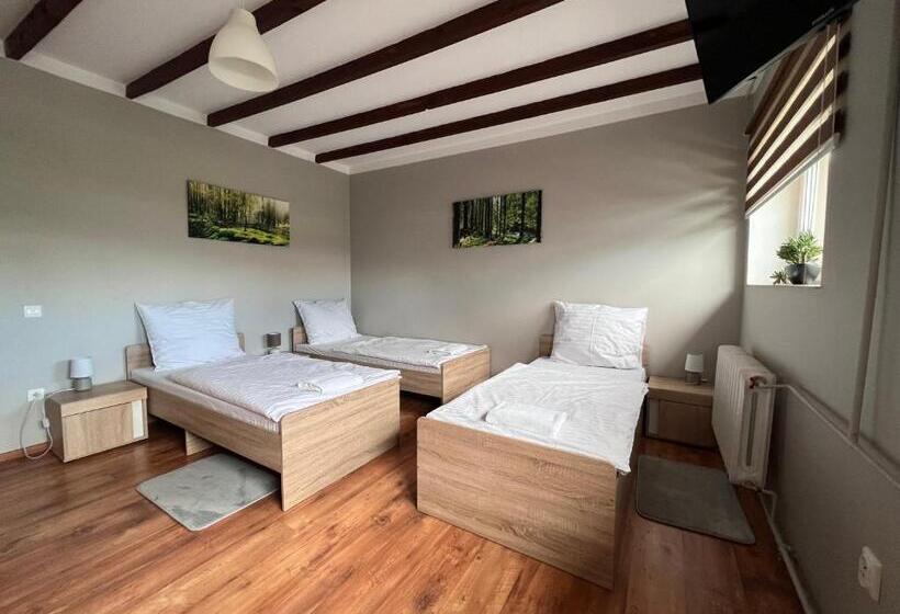 Номер Economy, Szelesiówka & Spa