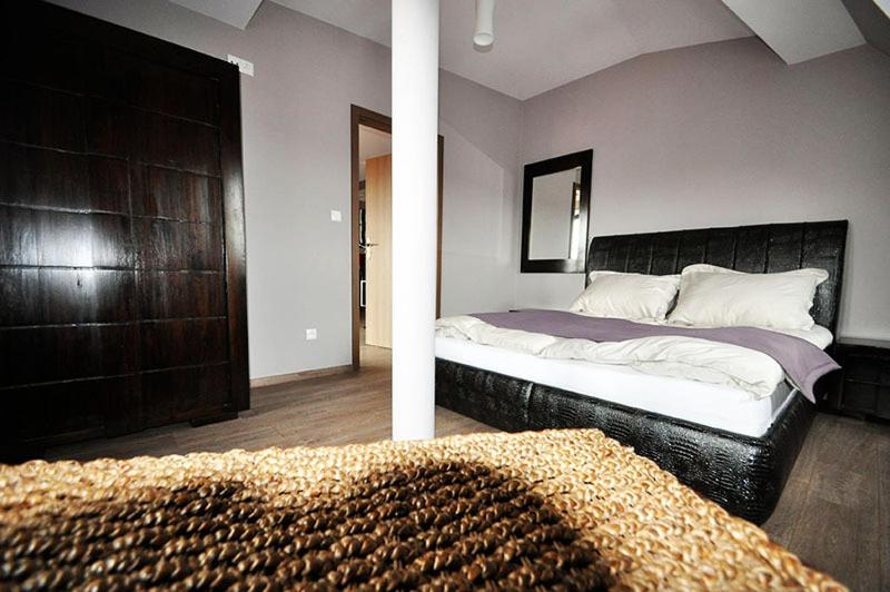 Апартаменты Deluxe 1 Спальня, Apartamenty Zamkowa