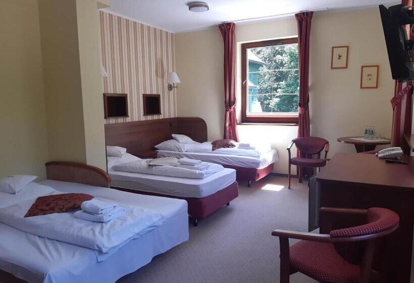 Трехместный Номер Superior, Villa Wernera Hotel & Spa
