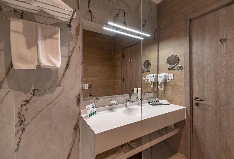 디럭스 룸, Hayasa Hotel Yerevan