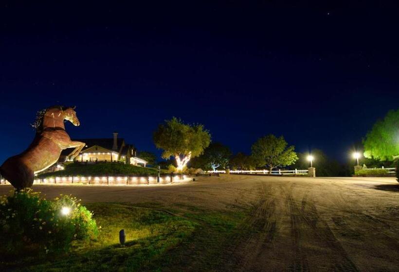 스탠다드 스튜디오 킹침대, Peppertree Lane Ranch    Seven Acre Ranch In The Heart Of Wine Country