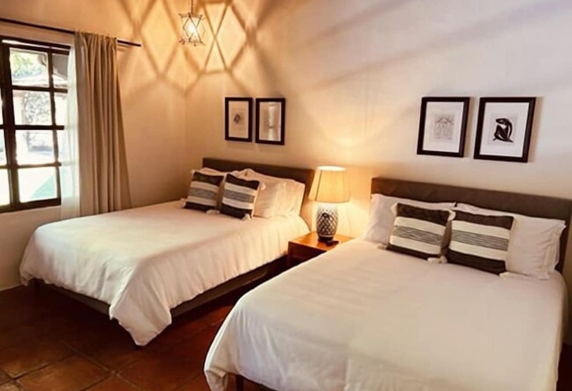 豪华房间, Villa Tatala Hotel Boutique