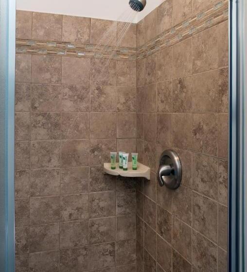 غرفة قياسية سرير كينج, 1825 Inn Bed And Breakfast