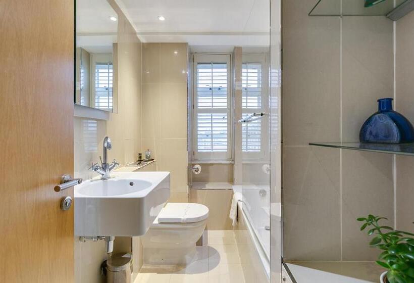 Апартаменты Deluxe 1 Спальня, Nell Gwynn Chelsea Accommodation
