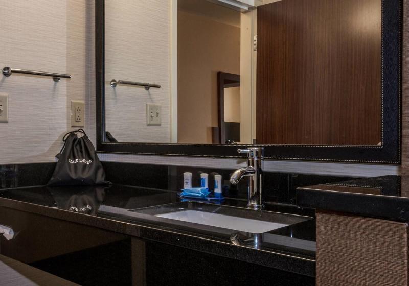 带大床的标准间, Fairfield Inn & Suites By Marriott Atmore