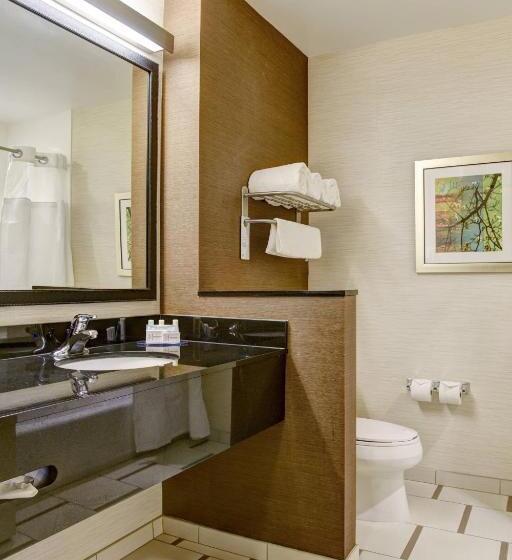 Стандартный Номер Кровать Кинг, Fairfield Inn & Suites By Marriott Rochester Mayo Clinic Area/saint Marys