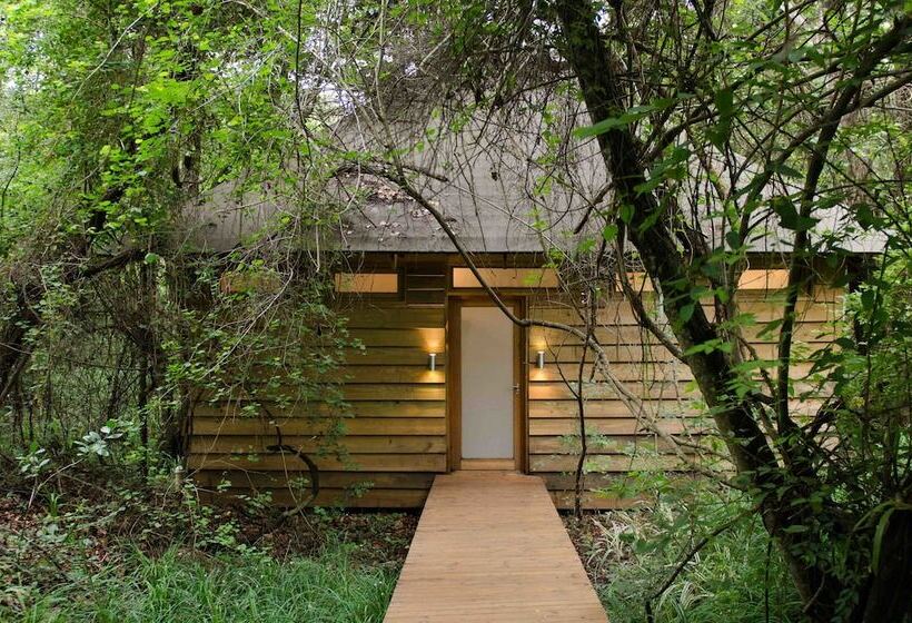 Номер Deluxe, Summerfields Rose Retreat And Spa