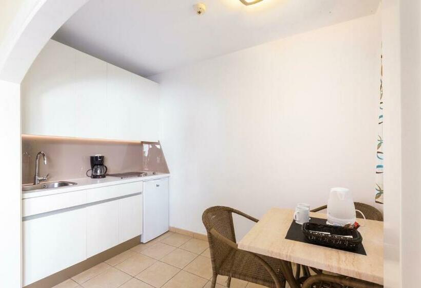 バルコニー付き１ベッドルームアパートメント, Apartamentos LIVVO Puerto de Mogán
