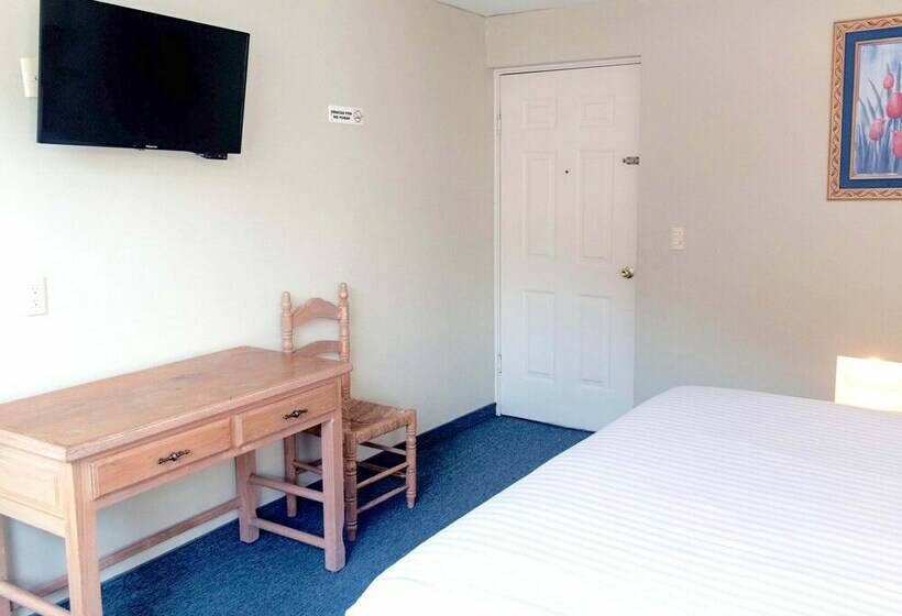 スタンダードルーム, Biohotel Metepec
