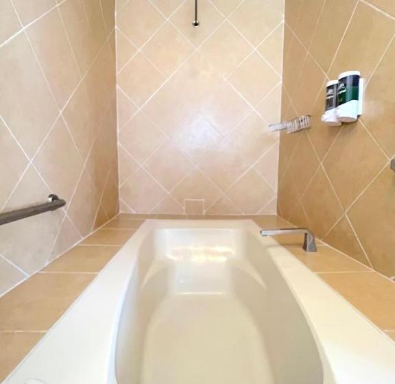 スーペリアースイート, Biohotel Metepec