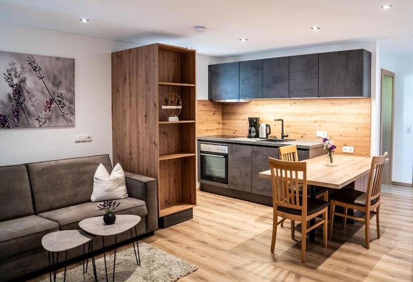 آپارتمان 1 خوابه, Appartements Tyrol