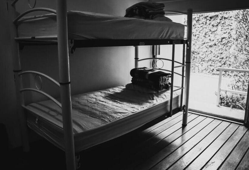 تختخواب در اتاق مشترک, Hostal Cuija Coyoacán