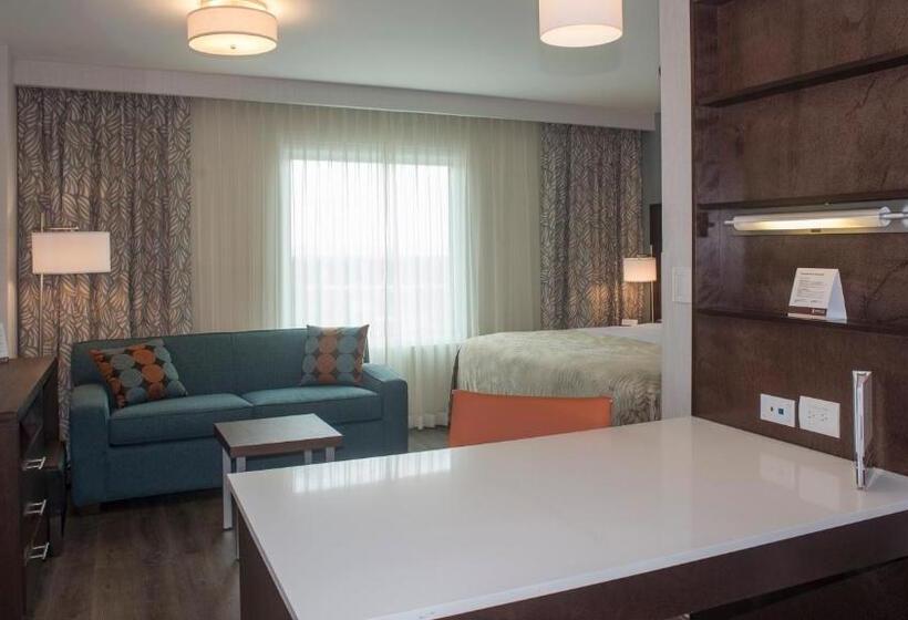 套房, Staybridge Suites Puebla, An Ihg