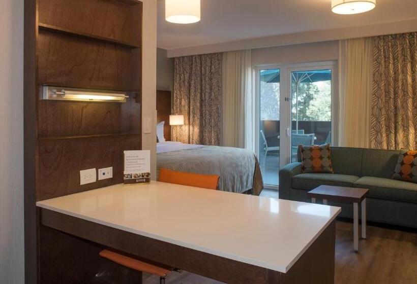 套房, Staybridge Suites Puebla, An Ihg