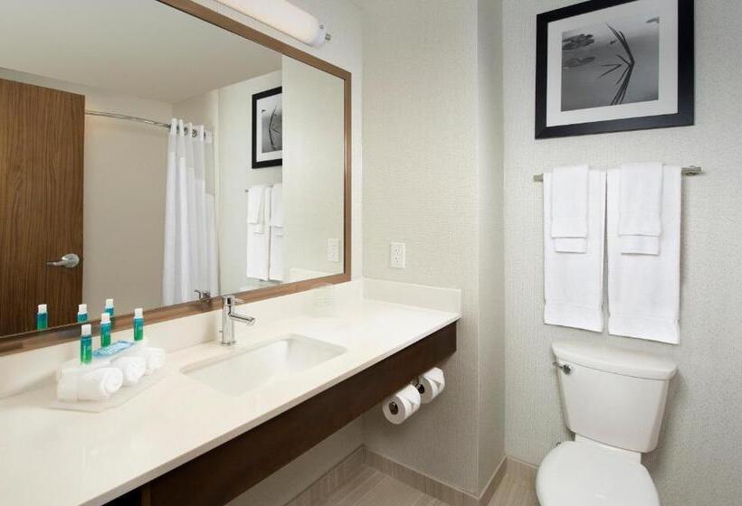 Habitació Estàndard, Holiday Inn Express & Suites Bay City, An Ihg