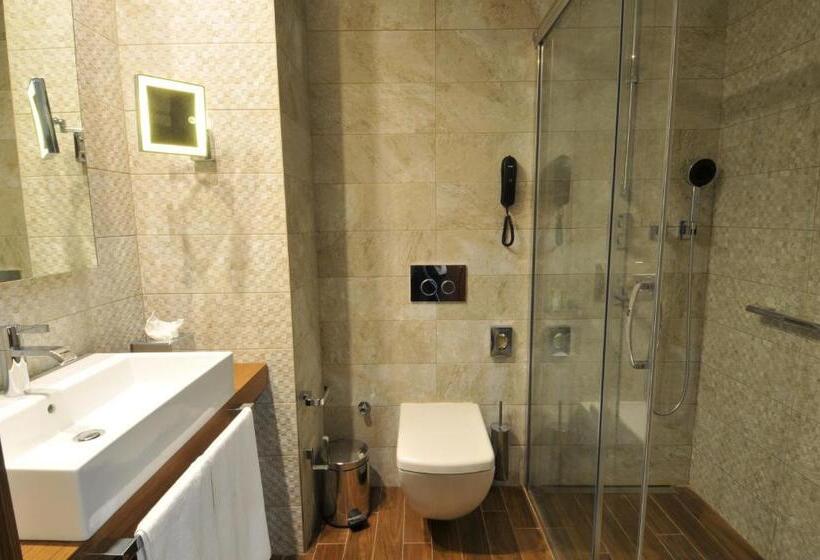 Номер Стандарт Индивидуальный, Holiday Inn Istanbul   Kadikoy, An Ihg