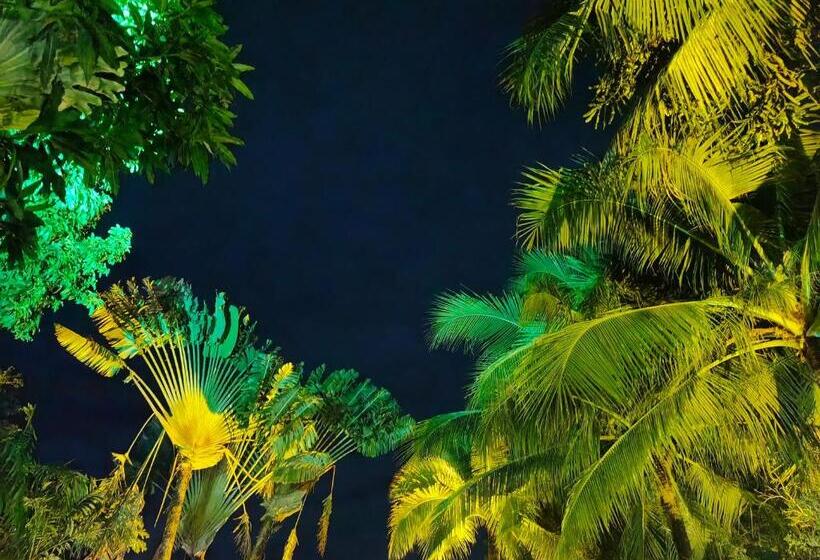 Номер Superior, Phuket Meet Holiday Hotel Rawai 普吉岛相遇花园度假酒店 拉威店