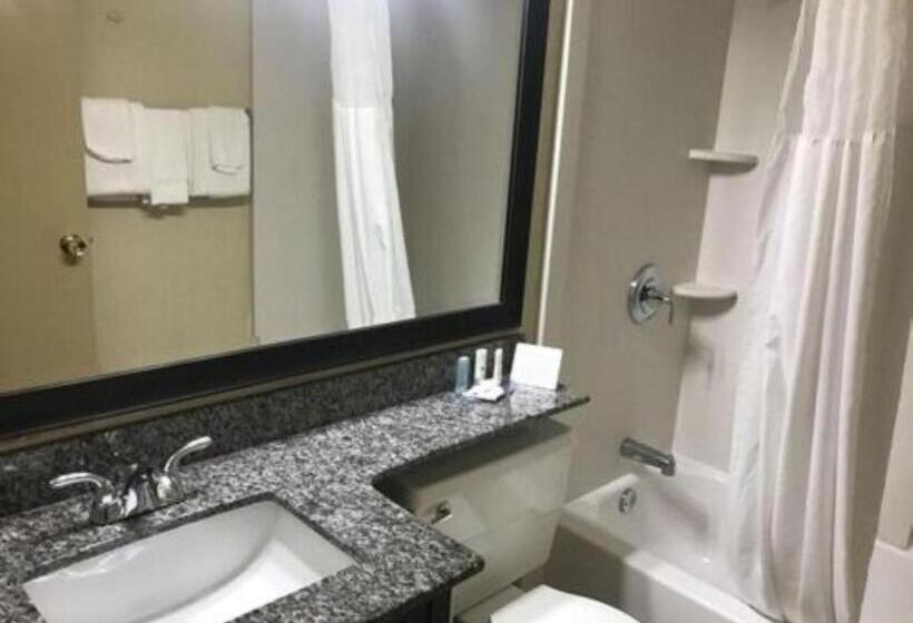 Номер Стандарт 2 Двуспальные Кровати, Clarion Hotel Fort Mill Near Amusement Park