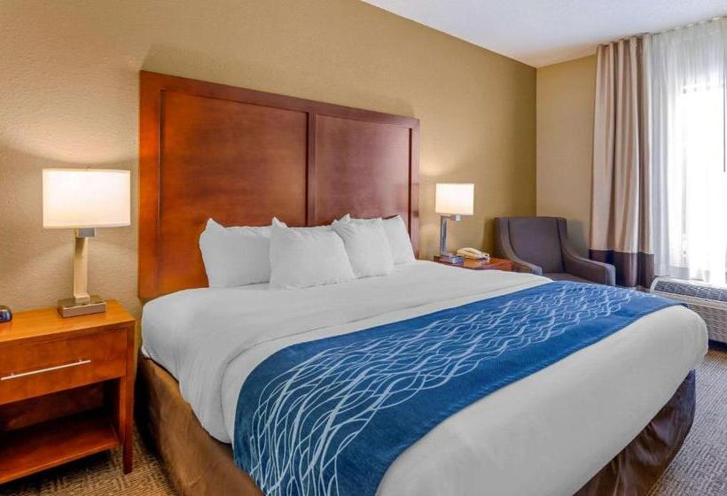 带大床的标准间, Comfort Inn & Suites Lynchburg Airport   University Area