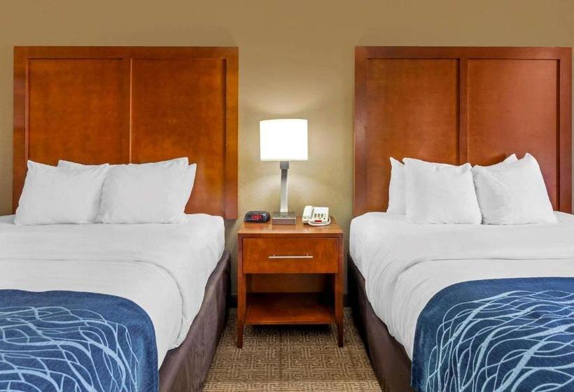 标准间, Comfort Inn & Suites Lynchburg Airport   University Area