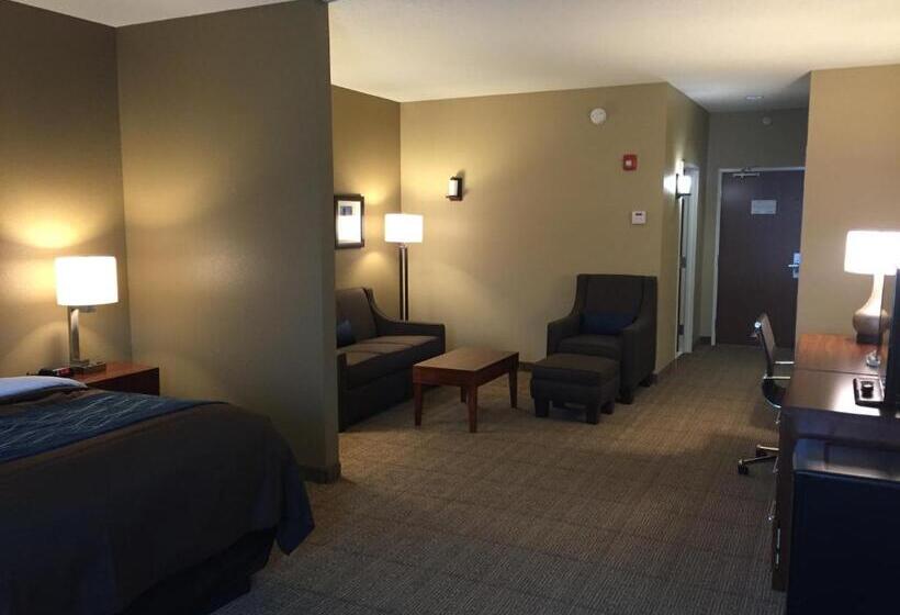 适合残疾人士使用的套间, Comfort Inn & Suites Lynchburg Airport   University Area