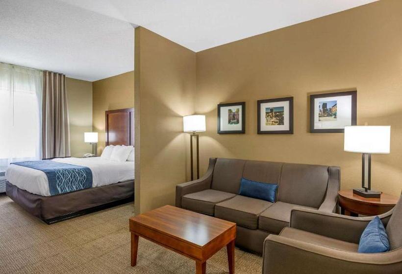 适合残疾人士使用的套间, Comfort Inn & Suites Lynchburg Airport   University Area