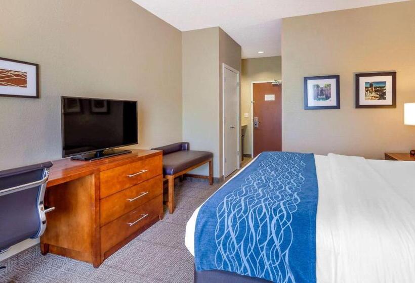 适合残疾人士使用的带超级大床的标准间, Comfort Inn & Suites Lynchburg Airport   University Area