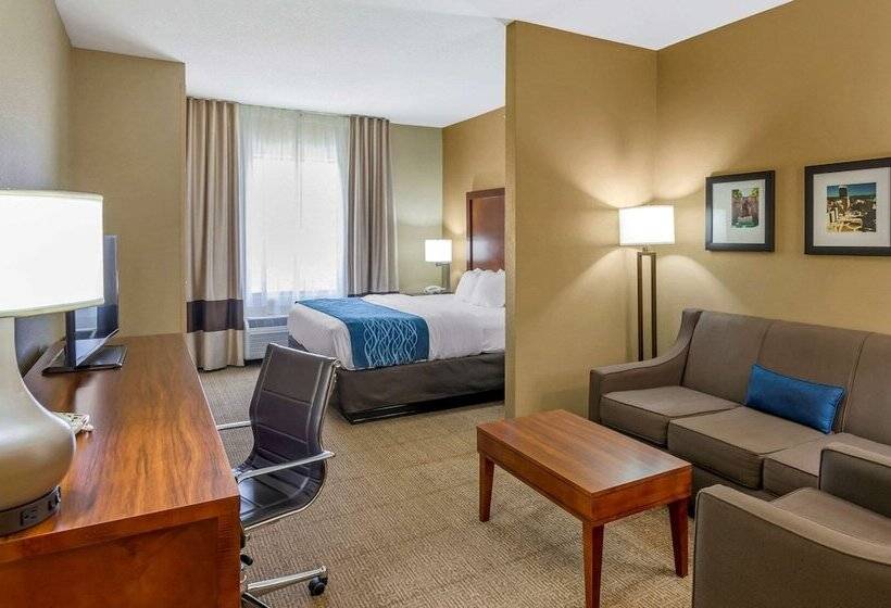 适合残疾人士使用的套间, Comfort Inn & Suites Lynchburg Airport   University Area