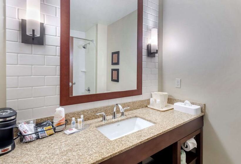 适合残疾人士使用的套间, Comfort Inn & Suites Lynchburg Airport   University Area