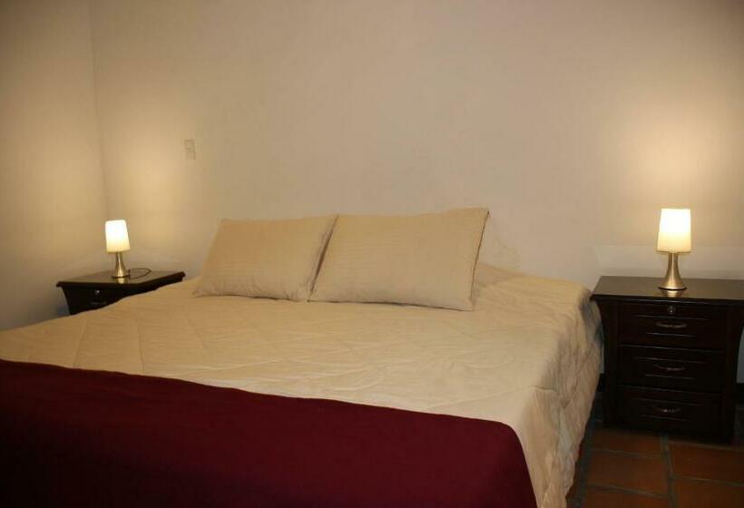اتاق سوپریور با تخت بزرگ, Casa Lola Hotel Boutique
