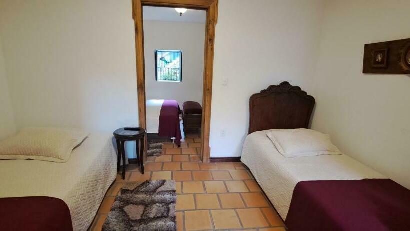 سوییت جونیور, Casa Lola Hotel Boutique