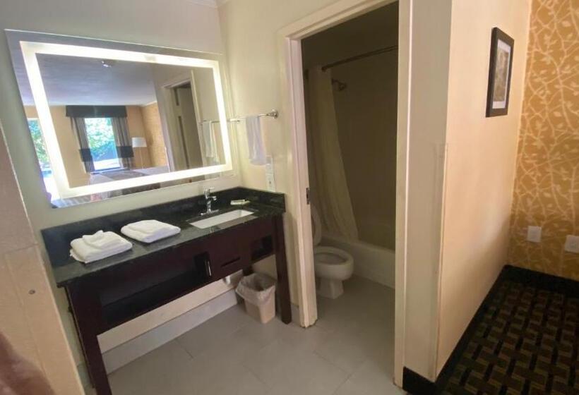 デラックスルーム, My Home & Suites Toccoa