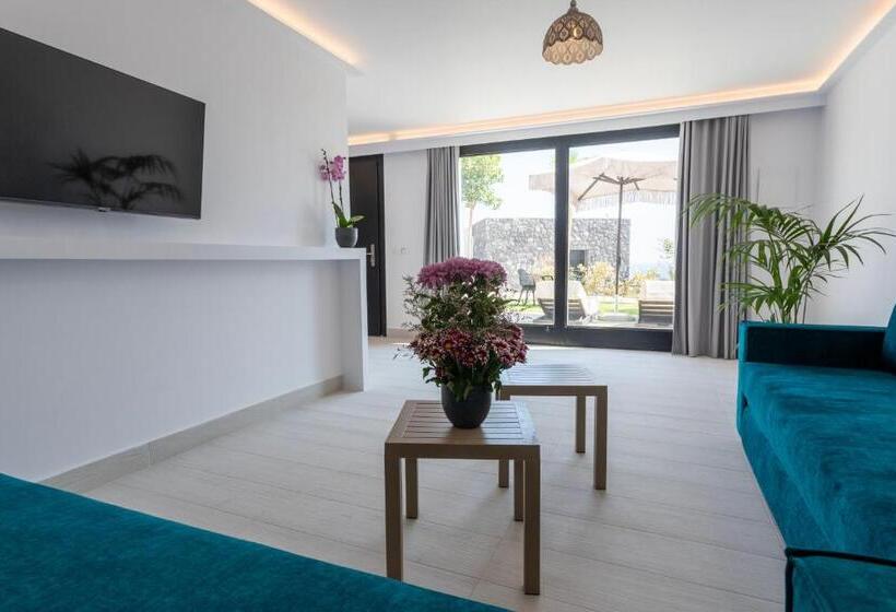 Люкс, Palm Island Suites