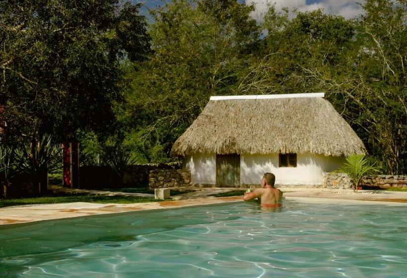 スタンダードルーム, Hacienda Ticum