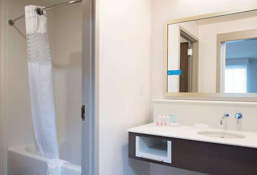 장애인을 위한 킹사이즈 침대 스탠다드 룸, Hampton Inn & Suites Grand Rapids Downtown