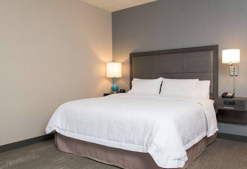 장애인을 위한 킹사이즈 침대 스탠다드 룸, Hampton Inn & Suites Grand Rapids Downtown