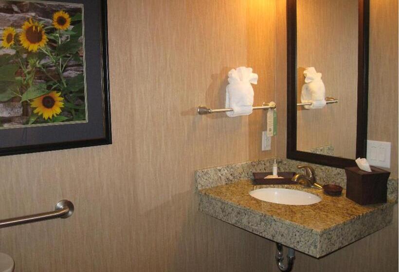 Номер Deluxe, Little Missouri Inn & Suites Watford City