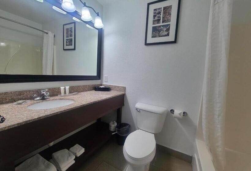 Стандартный Номер Кровать Кинг, Country Inn & Suites By Radisson, Paducah, Ky