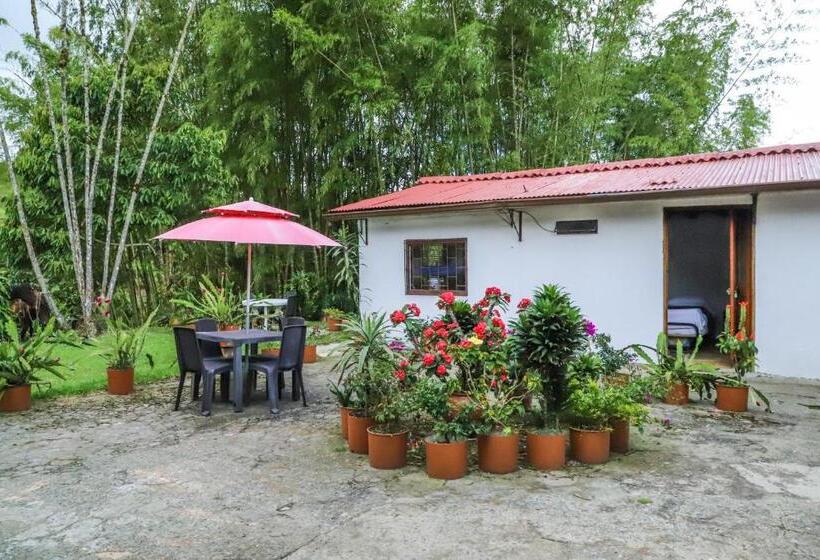 스탠다드 룸, Finca Hotel Los Guayacanes