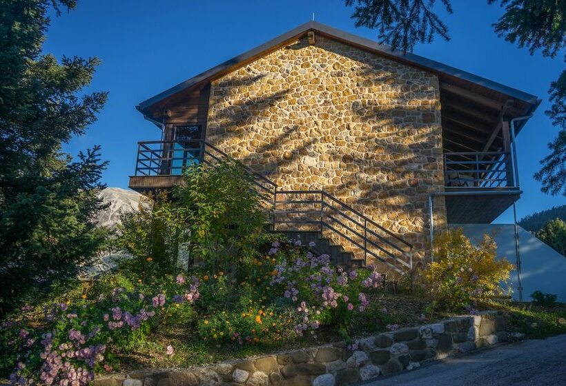 اتاق سوپریور, Orizontes Tzoumerkon Hotel Resort