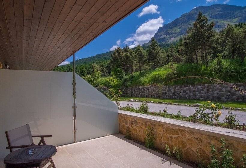 اتاق سوپریور, Orizontes Tzoumerkon Hotel Resort